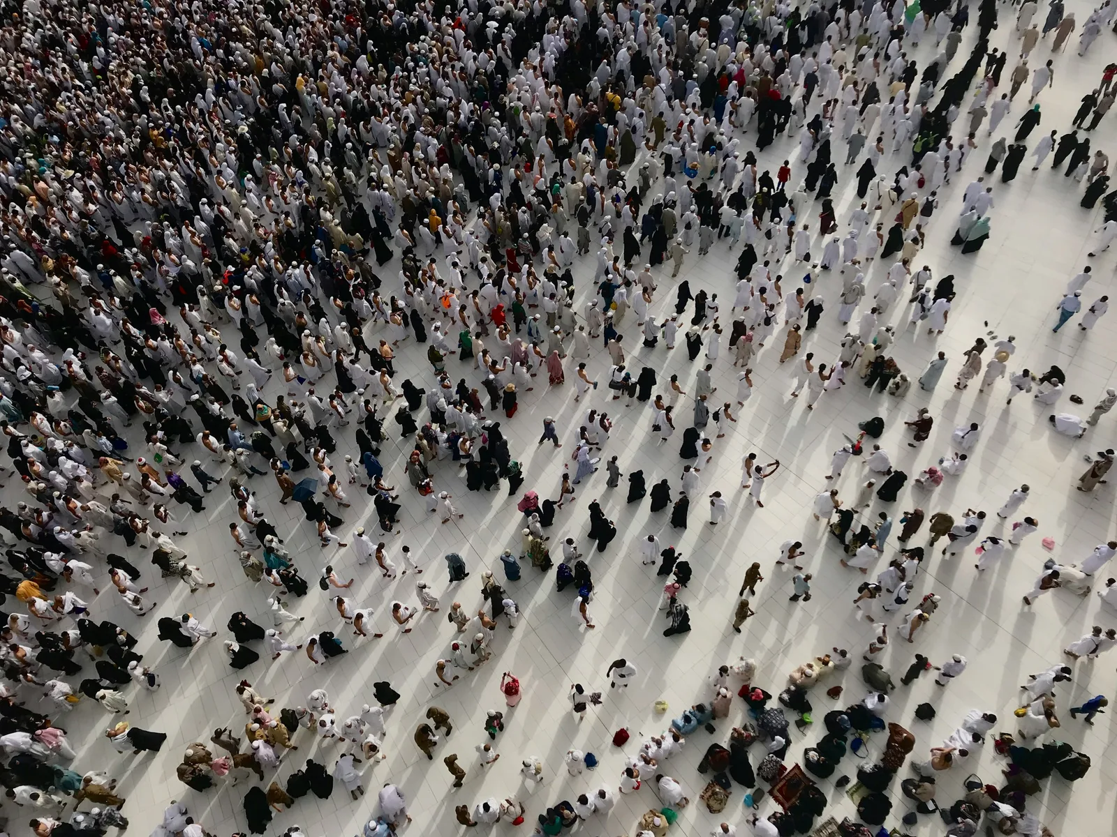 AI candidate search — finding and engaging the AI leaders and specialists who fit the brief.