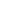 New York Life